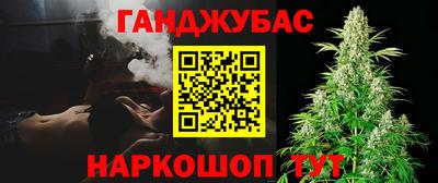 сатива Новодвинск